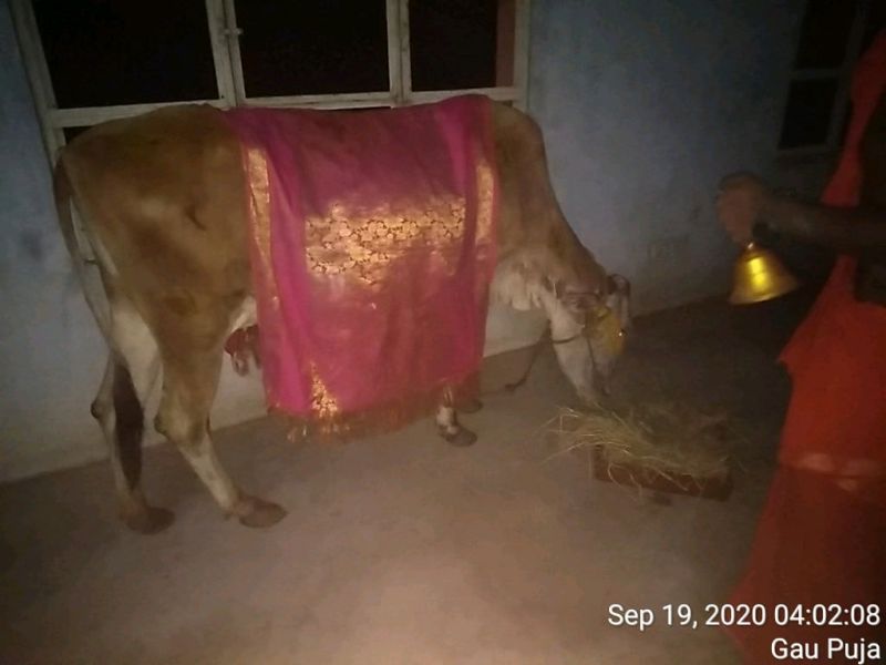 File:KPedia Photo 1521 1V DZVEAVDMYFcTH6j9uTwRAa2l3DYi6i.jpg