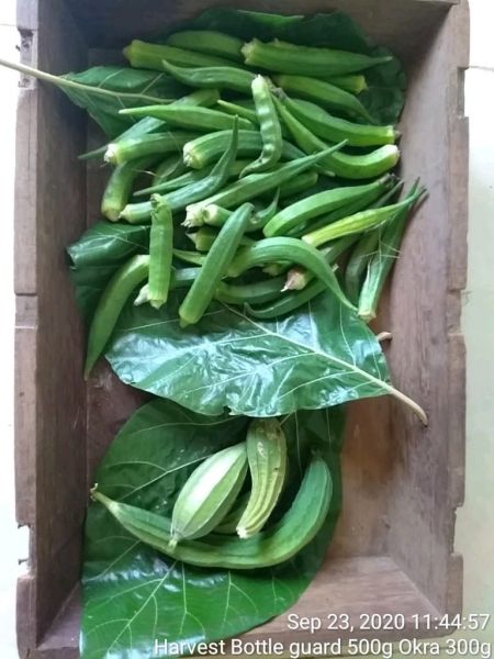 File:KPedia Photo 1524 1OGhqs4hfMafIQJnc Gx-xWXTHhJzpdrM.jpg