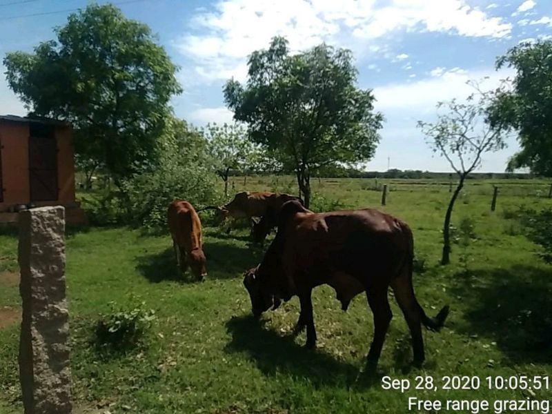 File:KPedia Photo 1640 1cycOT8Cms08asCLdvzCgSCo3OKKpM1-F.jpg