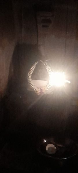 File:Kailasa in Alangulam 28th December 2021 3.jpeg