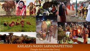 Nandi sarvajnapeetha.jpg