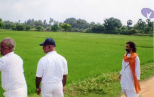 PA-032-014 CMP WM.jpg