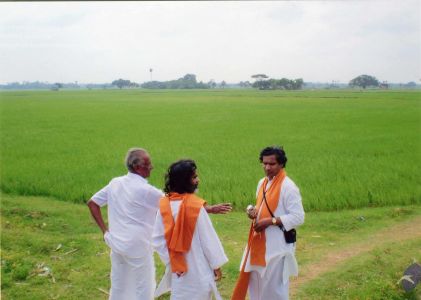 PA-032-031 CMP WM.jpg