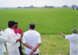 PA-032-032 CMP WM.jpg