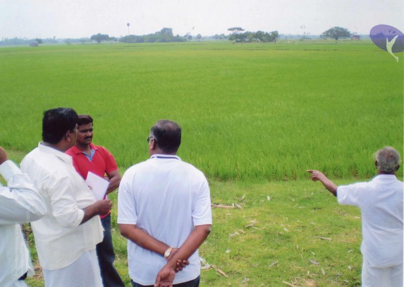 File:PA-032-032 CMP WM.jpg