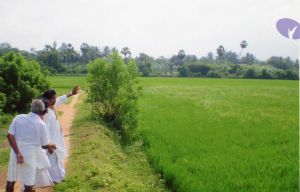 PA-032-036 CMP WM.jpg