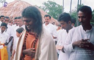 PA-202 003 CMP WM.jpg