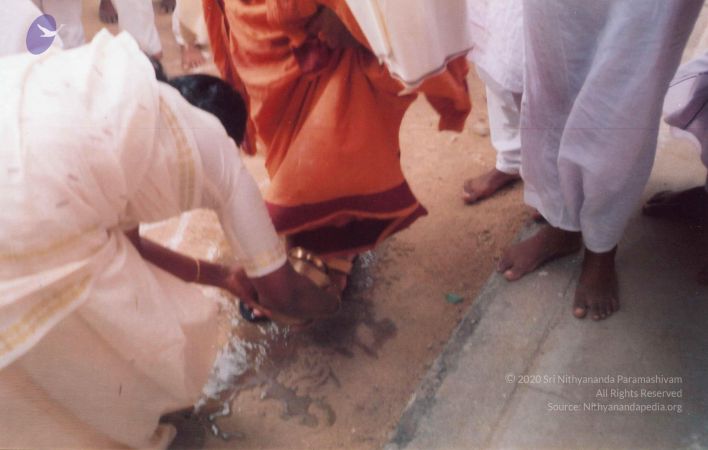 PA-202 004 CMP WM.jpg