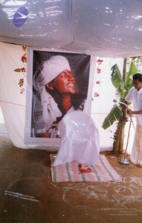 PA-202 021 CMP WM.jpg