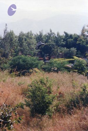 PA-213-027 CMP WM.jpg