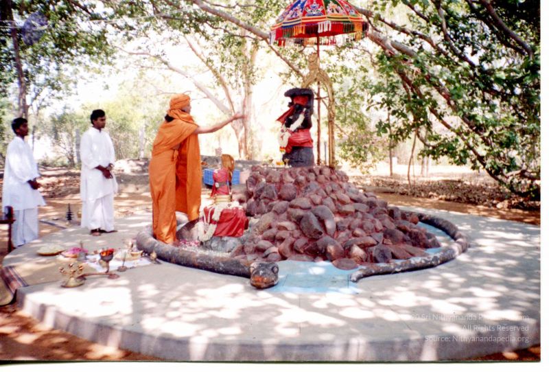 File:PA-220-001 CMP WM.jpg