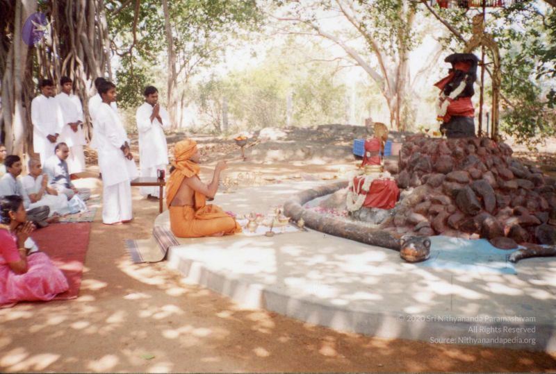 File:PA-220-007 CMP WM.jpg