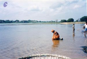 PA-220-015 CMP WM.jpg