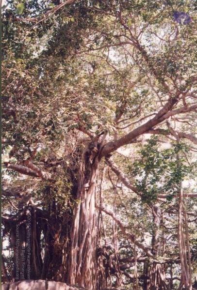 File:PA-262-001 CMP WM.jpg