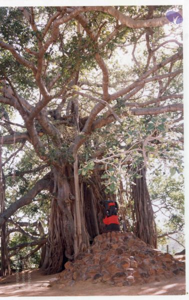 File:PA-292-002 CMP WM.jpg