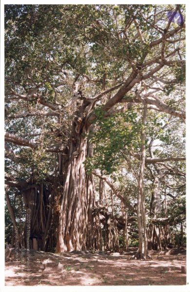 File:PA-292-005 CMP WM.jpg