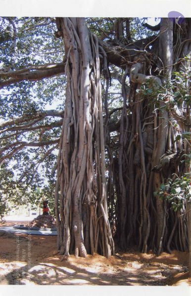 File:PA-292-006 CMP WM.jpg