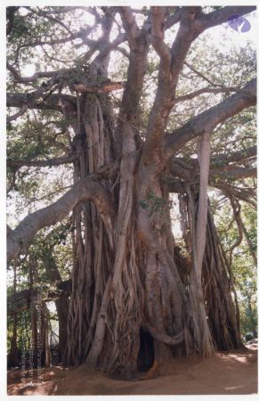 PA-292-007 CMP WM.jpg