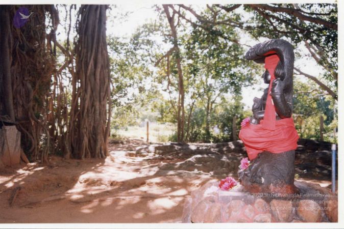 PA-292-011 CMP WM.jpg