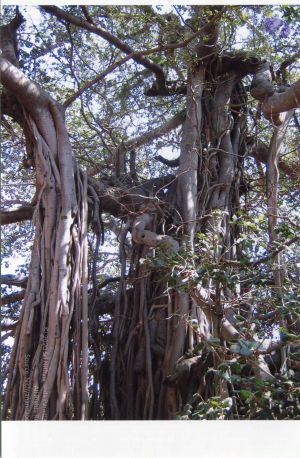 PA-292-017 CMP WM.jpg