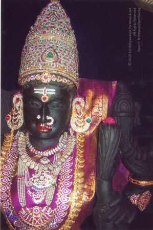 PA-407-006 CMP WM.jpg