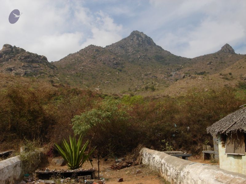 File:PANCHAMUGAM Tiruvannamalai Panchamukham 7Apr2007 (1)-01.jpg