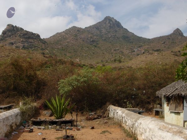 PANCHAMUGAM Tiruvannamalai Panchamukham 7Apr2007 (2)-02.jpg