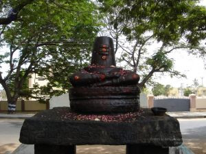 PANCHAMUGAM Tiruvannamalai Panchamukham 7Apr2007 (4)-06.jpg