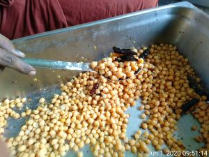 SSJP 101956289 1504152896430049 8597627423887982592 o.jpg