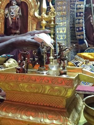 SSJP 117122157 1564832583695413 6227576741317955542 o.jpg