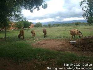 SSJP 119552769 1595727863939218 1799521886935164462 o.jpg