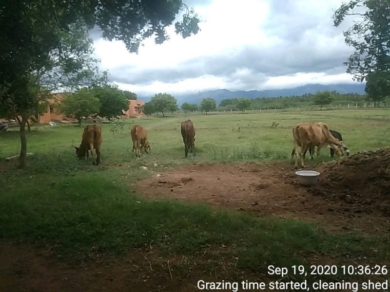 File:SSJP 119552769 1595727863939218 1799521886935164462 o.jpg