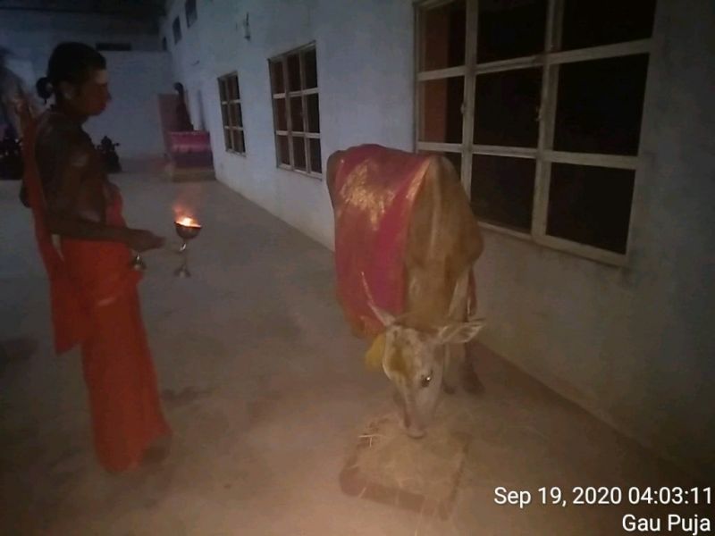 File:SSJP 119641159 1595727850605886 7549900151314557653 o.jpg