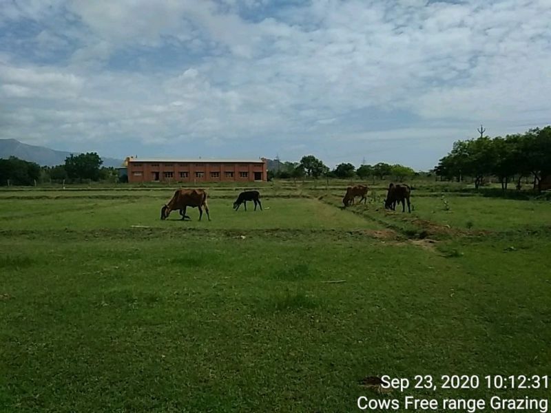 File:SSJP 119843576 1598417640336907 7320539875491818116 o.jpg