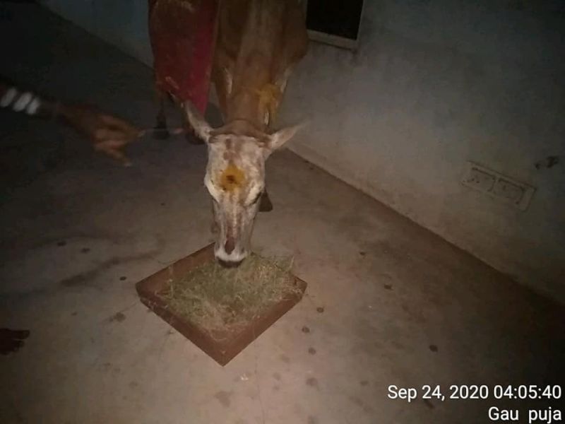 File:SSJP 120164870 1599044106940927 4406857675541740825 n.jpg