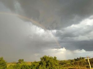 SSJP 120317864 1602758316569506 985571504244403616 n.jpg