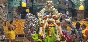 SSJP 67820876 1240790222766319 7572874215909490688 o.jpg