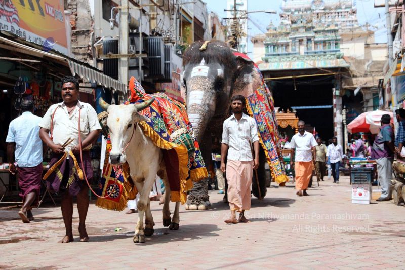 File:SSJP 69851384 1267272440118097 7868661294960738304 o.jpg