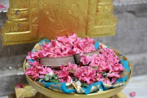 SSJP 70358046 1272083562970318 1904420741365891072 o.jpg