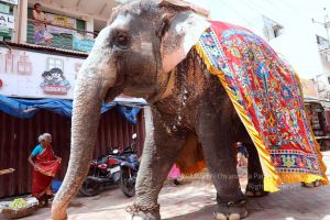 SSJP 70586784 1267272520118089 7177444191943786496 o.jpg