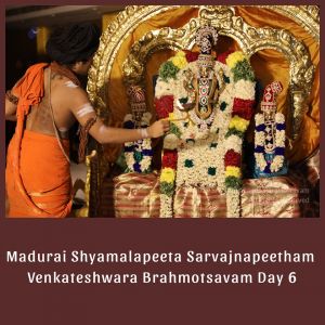 SSJP 72607505 1288753867969954 8708521353461891072 n.jpg