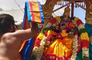 SSJP 87868442 1429424810569525 1563615692018679808 n.jpg