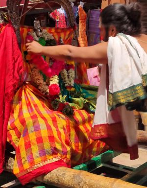 SSJP 88175510 1429424547236218 9052493357074350080 n.jpg