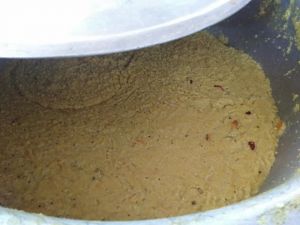 SSJP 91244357 1449262815252391 7107237548421808128 n.jpg