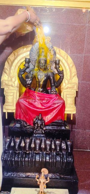 SWhatsApp Image 2022-02-06 at 19.02.25 (2).jpeg