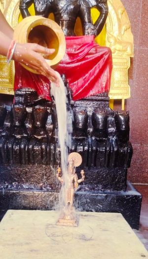 SWhatsApp Image 2022-02-06 at 19.02.27.jpeg