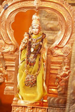 Swamiji-Temple-Visit-IMG 0789.jpg