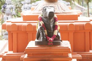 Temple-Visit-IMG 0768.jpg