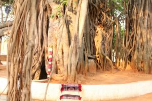 Temple-Visit-IMG 0780.jpg