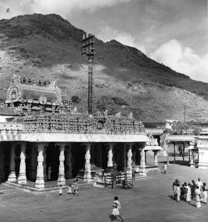 Temple 12717739 656505937821271 5841613091561532949 n-05.jpg